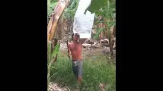 Farm Work - Australia