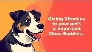 Giving Vitamins to your pet's is important | Chow Buddies