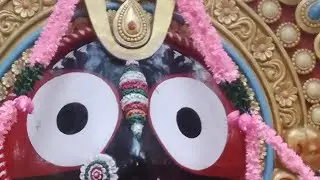 Good morning गोपाल दीदी स्नेहा चैनल में आप सभी लोगों को हार्दिक शुभेच्छा 👍 राधे 🙏 राधे 👍 राधे