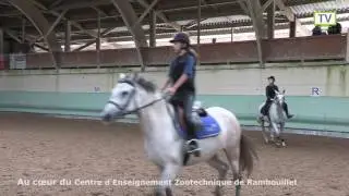 L'équitation à Rambouillet 2e partie