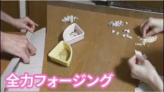 【記録】出口が見えなかった頃のフォージング準備― 毛引きが続いていた8ヶ月前（2025年初め）―　#ヨウム #フォージング  #インコ 　#毛引き 　#毛引きダム　#毛引きダムイメージング