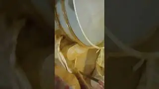 Genuine Foods and Equipments Vibro Sieves 32 inch Single stage