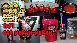 Review Pakan PELET Ikan Louhan | Di Jamin Bakal Bikin Ikan Louhan ???