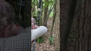 3d Weasel Target - Win&Win Black Wolf Recurve Rig.