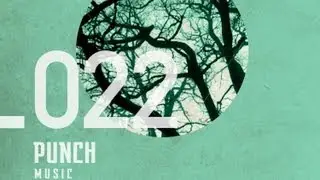 Nir Shoshani & Roland M. Dill - Disturbia