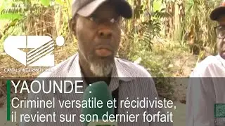 LE JOURNAL  20h00 du Dimanche 01/02/2026 - Canal 2 international