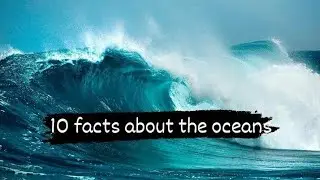 Dive into the Deep: 10 Fascinating Facts about the Oceans #shorts#funfacts#knowledge#didyouknow