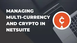 How to extend NetSuite to support payments in any fiat or cryptocurrency with Elevate2 Custom Add-on
