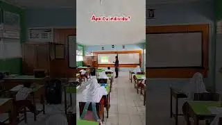 Apa itu individu?
