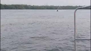 Jetski  riding #trending #viral #youtubeshorts #viralvideo #video #viralshorts #viralshort #tr
