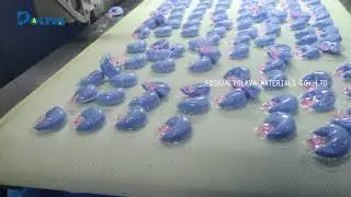 Polyva Automatic Dishwashing Pods Packaging Machine