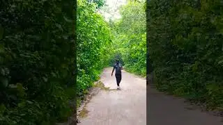 লাউয়াছড়া, শ্রীমঙ্গল