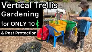 Trellis Growing & Protecting Plants from Sun for Shading & Pest Cucumbers Tomatoes Irrigation Tubing