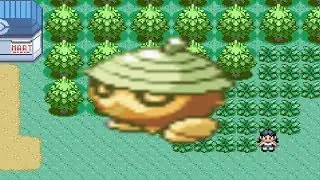 How to find Seedot in Pokemon Ruby