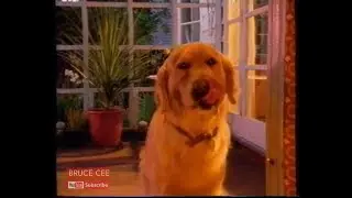 1999 Advert, Tux Dog Food NZ  (VHS)
