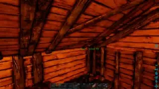 ARK - Bauwunder