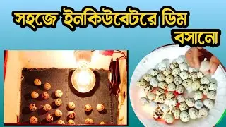কিভাবে ইনকিউবেটর মেশিনে ডিম বসাবো,সহজে ইনকিউবেটর মেশিনে ডিম বসানো।@মায়ের_দোয়া_শখের_খামার