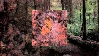 Sonus Corona - Struggle