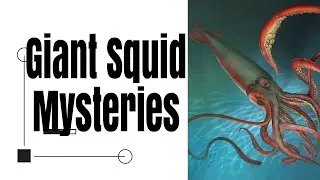 Giant Squids: Secrets of the Deep Sea Titans