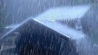 Drift into Sleep Instantly with HEAVY RAIN and THUNDERSTORM Sounds on Tin Roof in the Peaceful Night