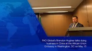 Doing Business in China - FAO Global&rsquo;s Brandon Hughes provides first hand insights into China.
