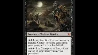 Combo-Bait???, Champion of Stray Souls, EDH Card Review and Tips