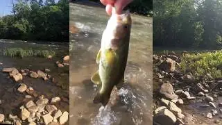 Fly Fishing Shut-In Creek & French Broad River in Hot Springs, NC