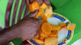 Guyana 2016: Mammee Apple