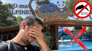 Zoo Aquarium de Madrid 2025 - &iexcl;&iquest;NO mas DELFINES en el ZOO Aquarium de Madrid?! - Vlog Aquarium y etc