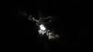 10.10.10 A MoonLight Meditation &curren; LunarLight Languages Message of Unity Consciousness ~OneLight