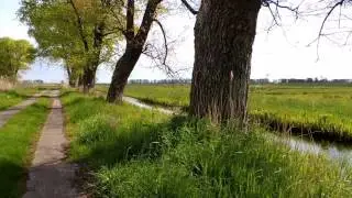 Stettiner Haff  - Naturpark  Am Stettiner Haff -