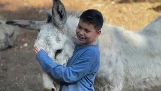 Equine-Assisted Learning in Action - Connecting with Animals for Growth & Healing