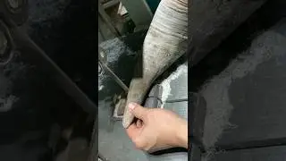 Cut Off Rhino Horns.😱🤯 #shorts #rhino #horn