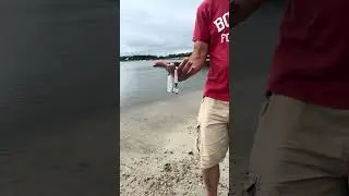 Flippin' on Cape Cod - Seashell Agate Komboloi