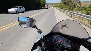 🇧🇷 KAWASAKI ZX12R 2001 - ROLÊ NA RODOVIA