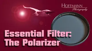 Essential Filter: The Polarizer