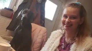 Neuer Alltagvlog /Alltagleben/Tagebuch/eingeladen zum Mittagessen bei meinen Freundinnen usw 🌹🥰🌇