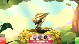 HATCH GLOM DRAGON❗DRAGON MANIA LEGENDS 