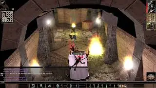 Neverwinter Nights: Enhanced Edition - Half-Orc Barbarian in The Wailing Death - Episode 10 Part 2