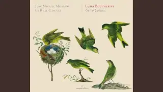 Guitar Quintet No. 4 in D Major, G. 448: I. Pastorale