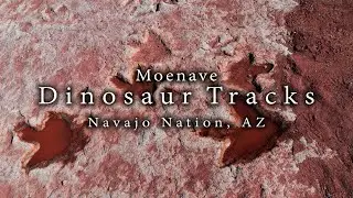 Moenave Dinosaur Tracks - Arizona