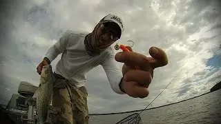 Vertical Jigging Big Schools of Wiper // Clinton Lake // GoPro