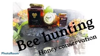 Honey bee conservation