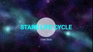 Star Life Cycle Project