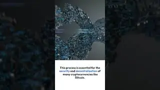 Mining vs Staking: Crypto's Earning Power Explained ⛏️ | Crypto Elite