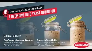 Deep dive into yeast nutrition