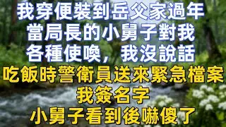我穿便裝到岳父家過年，當局長的小舅子對我各種使喚，我沒說話。吃飯時警衛員送來緊急檔案，我簽名字，小舅子看到後嚇傻了