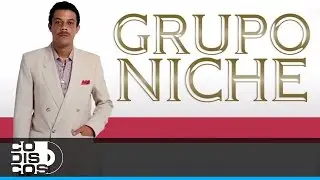 El Amor Vendrá, Tapando el Hueco, Grupo Niche - Audio