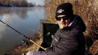 Feeder na kanale Połaniec -  Wojtek Barański