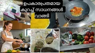 ഇതൊക്കെയുണ്ടേൽ പിന്നെ ജോലി ഈസിയായി |Daily Vlog